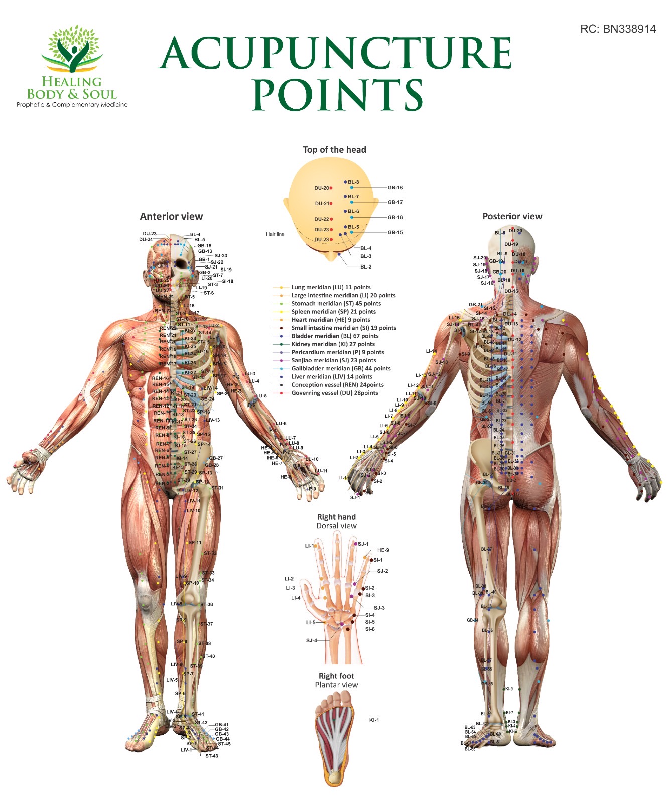 Acupuncture points chart