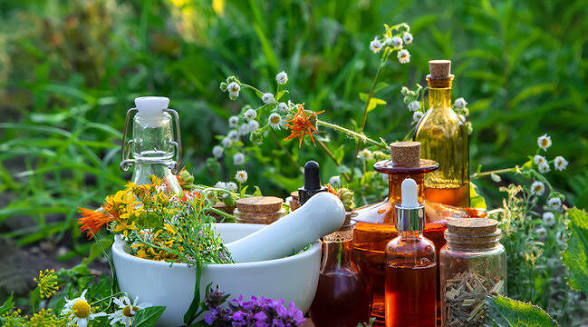 Botanical wellness preparations
